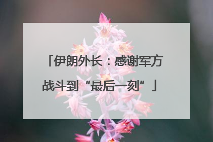 伊朗外长：感谢军方战斗到“最后一刻”