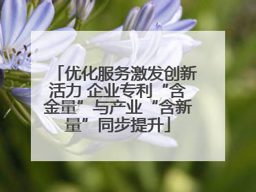 优化服务激发创新活力 企业专利“含金量”与产业“含新量”同步提升