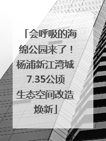 会呼吸的海绵公园来了！杨浦新江湾城7.35公顷生态空间改造焕新