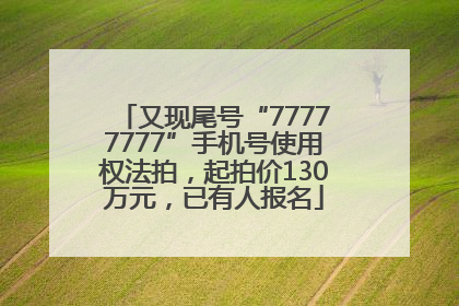 又现尾号“77777777”手机号使用权法拍，起拍价130万元，已有人报名
