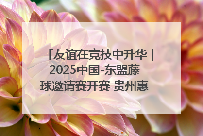 友谊在竞技中升华｜2025中国-东盟藤球邀请赛开赛 贵州惠水燃动“空中芭蕾”