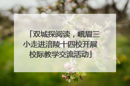双城探阅读，峨眉三小走进涪陵十四校开展校际教学交流活动