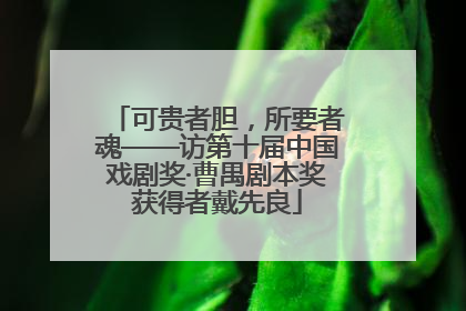 可贵者胆，所要者魂——访第十届中国戏剧奖·曹禺剧本奖获得者戴先良