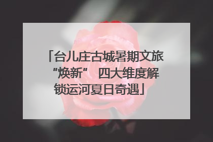 台儿庄古城暑期文旅“焕新” 四大维度解锁运河夏日奇遇