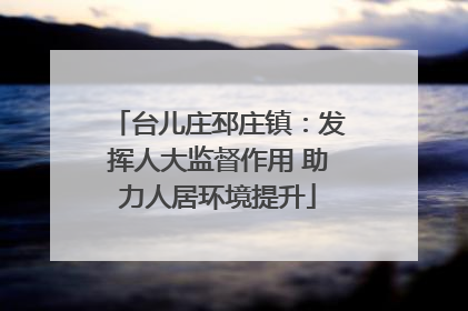 台儿庄邳庄镇：发挥人大监督作用 助力人居环境提升