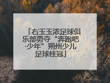 右玉玉浓足球俱乐部勇夺“奔跑吧·少年”朔州少儿足球桂冠