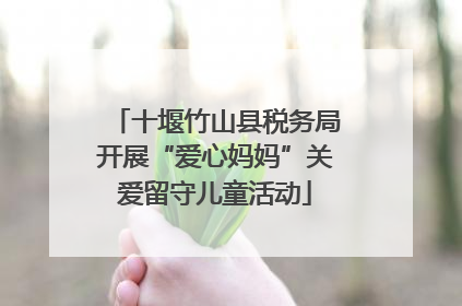 十堰竹山县税务局开展“爱心妈妈”关爱留守儿童活动