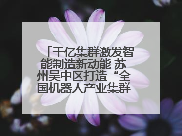 千亿集群激发智能制造新动能 苏州吴中区打造“全国机器人产业集群第一区”