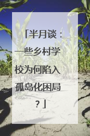 半月谈：一些乡村学校为何陷入孤岛化困局？