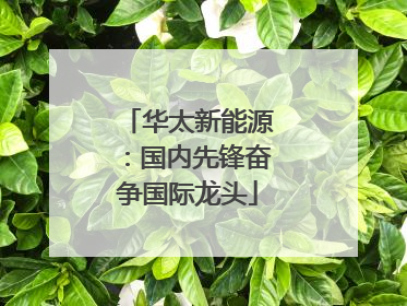 华太新能源：国内先锋奋争国际龙头