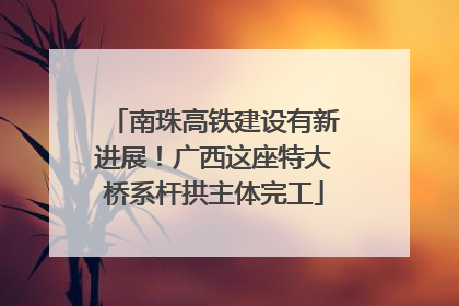 南珠高铁建设有新进展！广西这座特大桥系杆拱主体完工