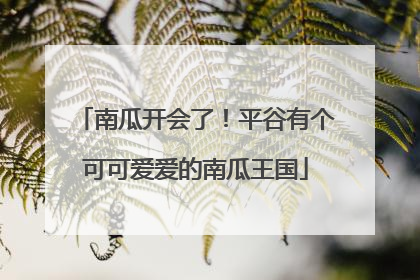 南瓜开会了！平谷有个可可爱爱的南瓜王国