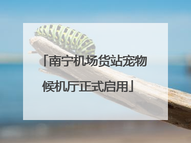 南宁机场货站宠物候机厅正式启用