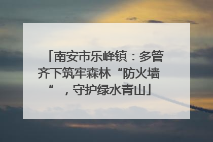 南安市乐峰镇：多管齐下筑牢森林“防火墙”，守护绿水青山