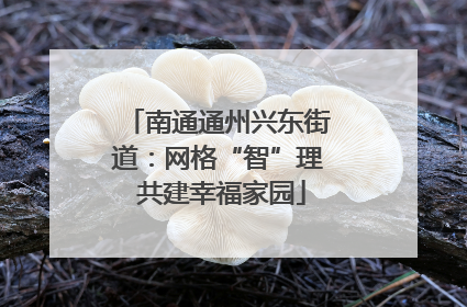 南通通州兴东街道：网格“智”理 共建幸福家园