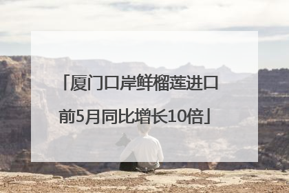 厦门口岸鲜榴莲进口 前5月同比增长10倍