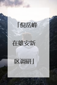 倪岳峰在雄安新区调研