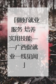 做好就业服务 培养实用技能——广西促就业一线见闻