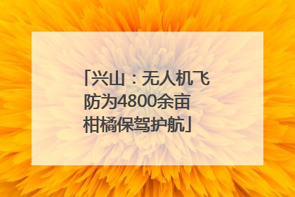 兴山：无人机飞防为4800余亩柑橘保驾护航