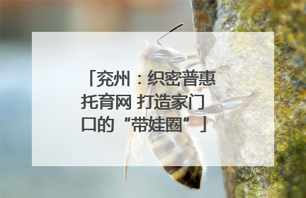 兖州：织密普惠托育网 打造家门口的“带娃圈”