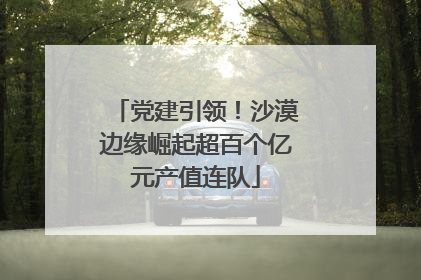 党建引领！沙漠边缘崛起超百个亿元产值连队