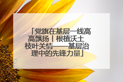 党旗在基层一线高高飘扬丨根植沃土 枝叶关情——基层治理中的先锋力量