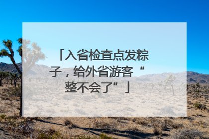 入省检查点发粽子，给外省游客“整不会了”