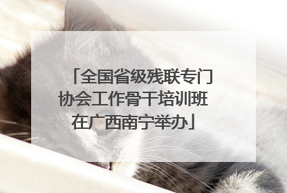 全国省级残联专门协会工作骨干培训班在广西南宁举办