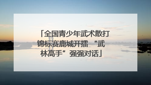 全国青少年武术散打锦标赛鹿城开擂 “武林高手”强强对话