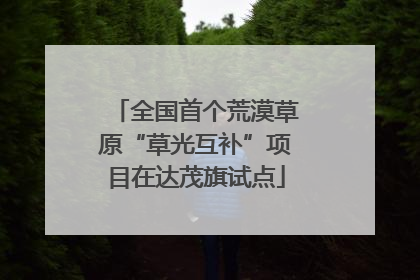 全国首个荒漠草原“草光互补”项目在达茂旗试点
