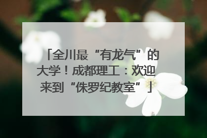 全川最“有龙气”的大学！成都理工：欢迎来到“侏罗纪教室”