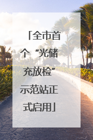 全市首个“光储充放检”示范站正式启用