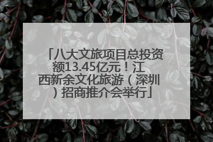 八大文旅项目总投资额13.45亿元！江西新余文化旅游（深圳）招商推介会举行