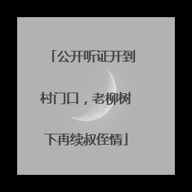 公开听证开到村门口，老柳树下再续叔侄情