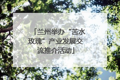 兰州举办“苦水玫瑰”产业发展交流推介活动