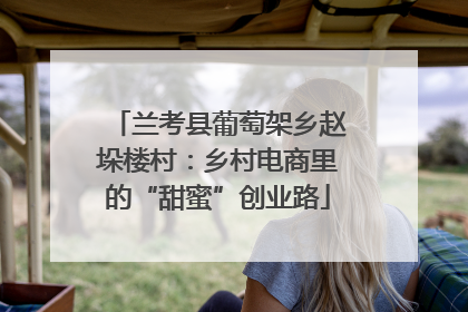 兰考县葡萄架乡赵垛楼村：乡村电商里的“甜蜜”创业路