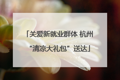 关爱新就业群体 杭州“清凉大礼包”送达