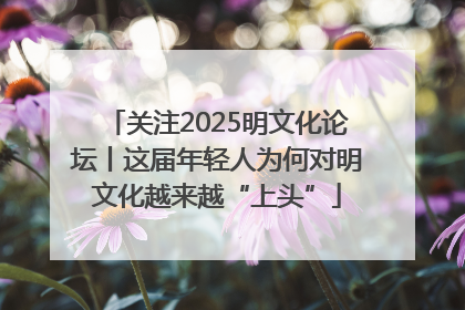 关注2025明文化论坛丨这届年轻人为何对明文化越来越“上头”