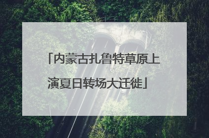 内蒙古扎鲁特草原上演夏日转场大迁徙