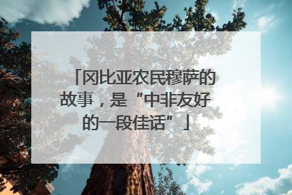 冈比亚农民穆萨的故事，是“中非友好的一段佳话”