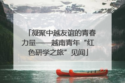 凝聚中越友谊的青春力量——越南青年“红色研学之旅”见闻