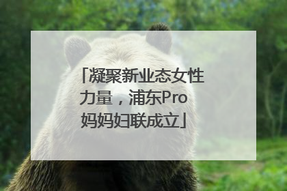 凝聚新业态女性力量，浦东Pro妈妈妇联成立