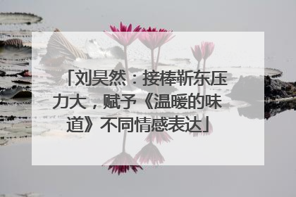 刘昊然：接棒靳东压力大，赋予《温暖的味道》不同情感表达