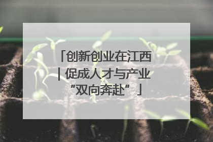 创新创业在江西｜促成人才与产业“双向奔赴”
