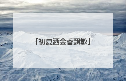 初夏洒金香飘散