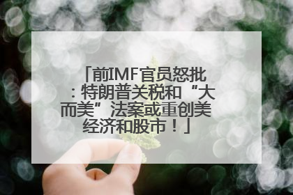 前IMF官员怒批：特朗普关税和“大而美”法案或重创美经济和股市！