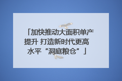 加快推动大面积单产提升 打造新时代更高水平“洞庭粮仓”