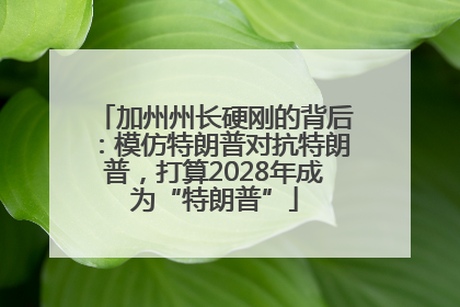 加州州长硬刚的背后：模仿特朗普对抗特朗普，打算2028年成为“特朗普”