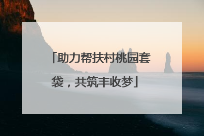 助力帮扶村桃园套袋，共筑丰收梦