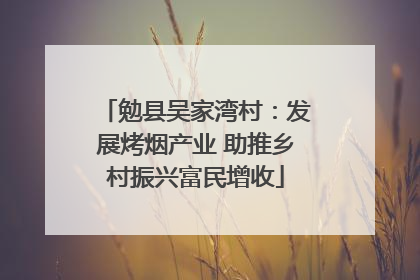 勉县吴家湾村：发展烤烟产业 助推乡村振兴富民增收